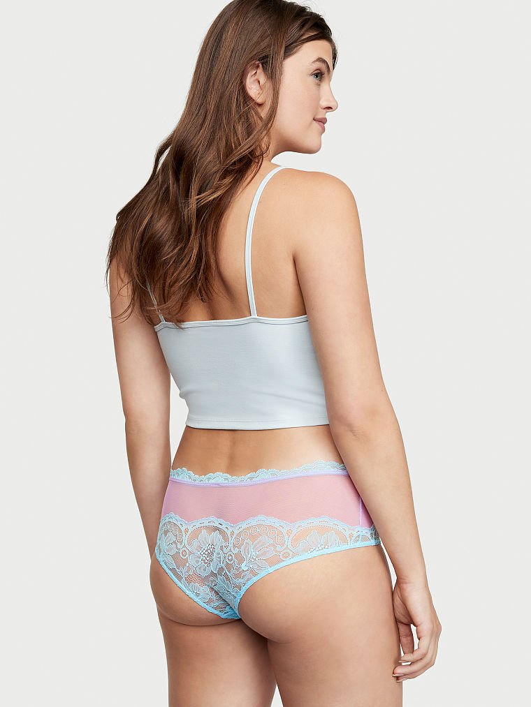 Lace & Mesh Cheeky Panty image number null