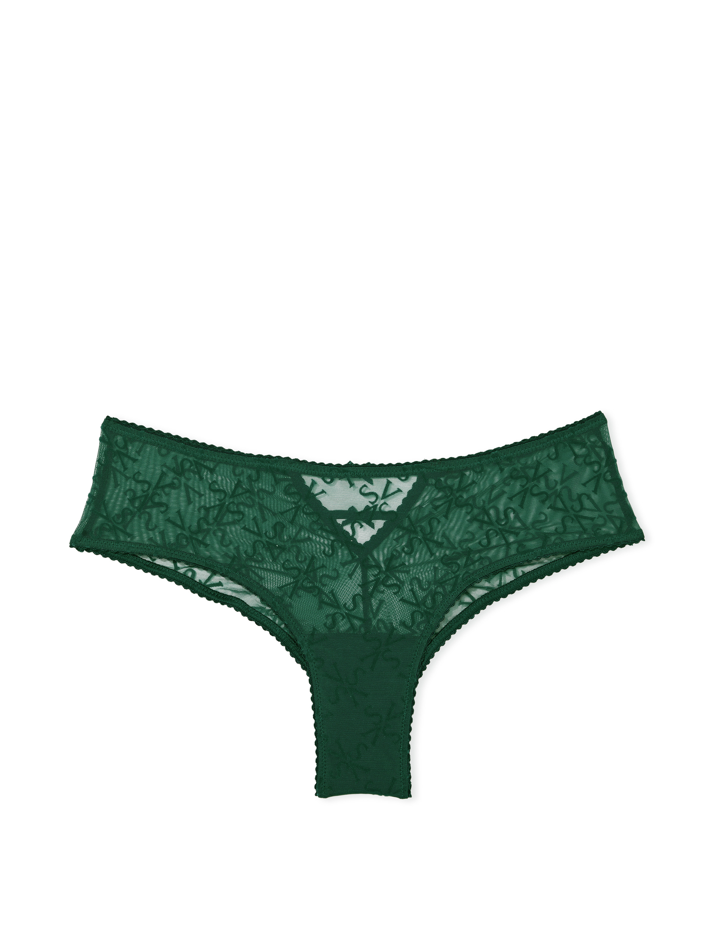 Flocked Logo Mesh Cheeky Panty image number null